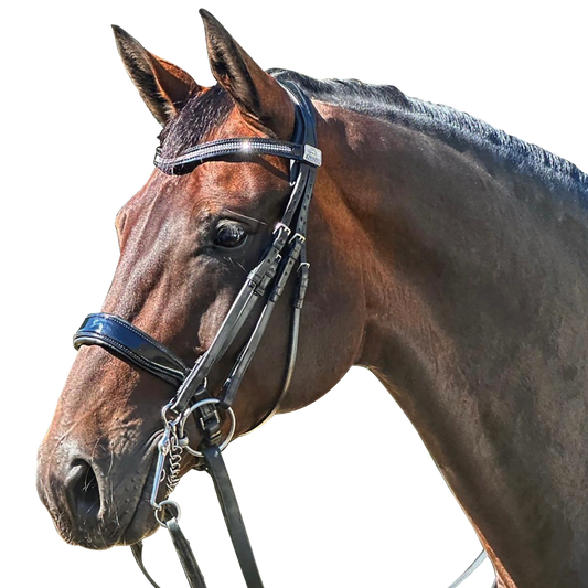 Complete Fairfax Double Bridle with Patent Cavesson Noseband and Browband