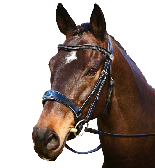 Complete Fairfax Snaffle Bridle with Patent Cavesson Noseband and Browband