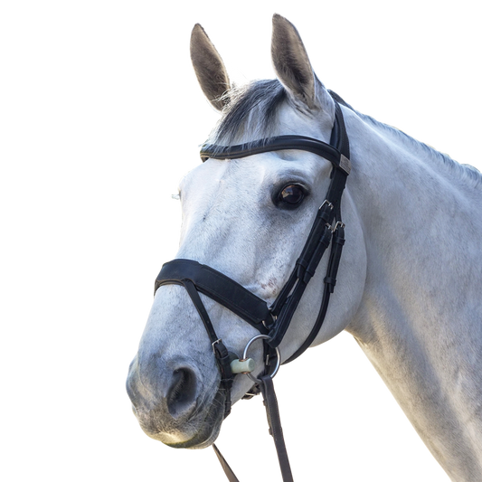 Complete Fairfax Snaffle Bridle with Flash Noseband